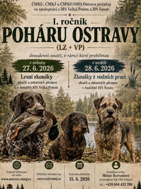 I. ročník Poháru Ostravy